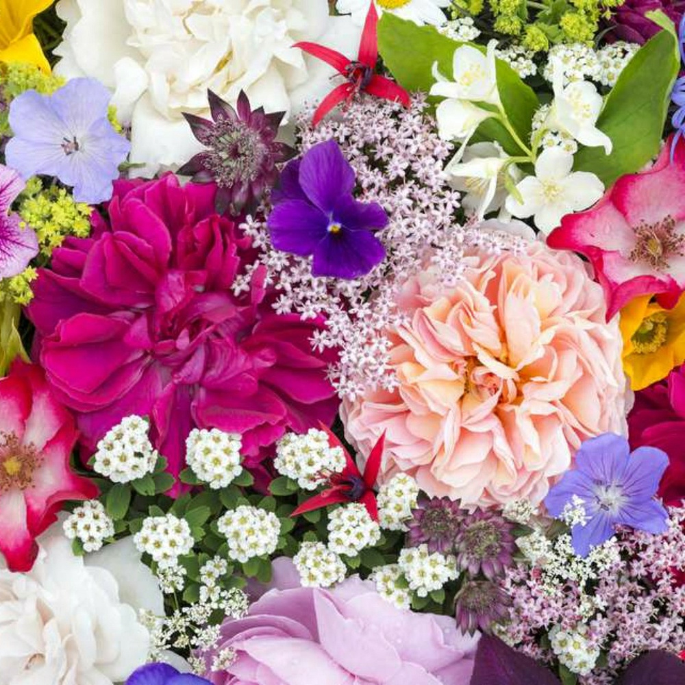 Meet your Posher, MarÃ­a